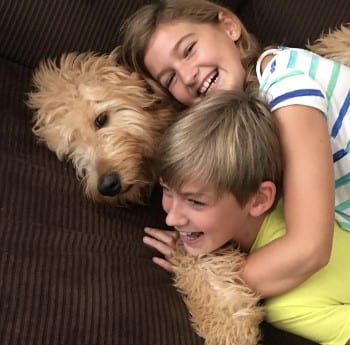 Kids with Goldendoodle