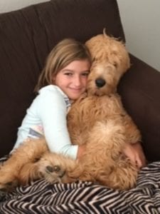 girl with goldendoodle