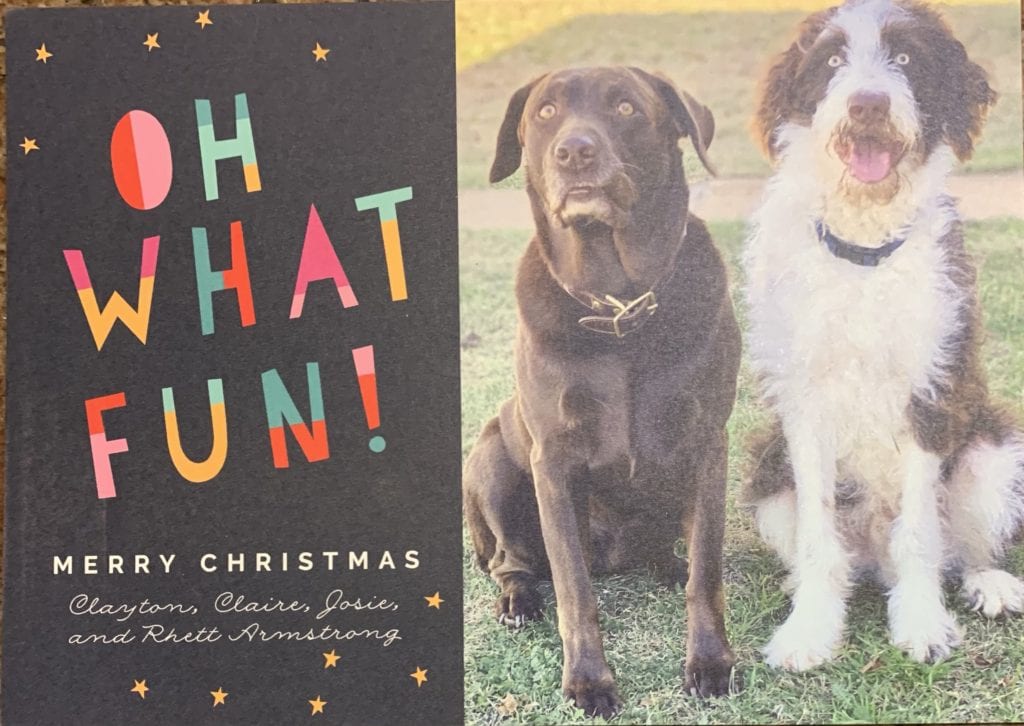puppy christmas card