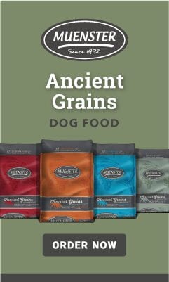 muenster ancient grains food