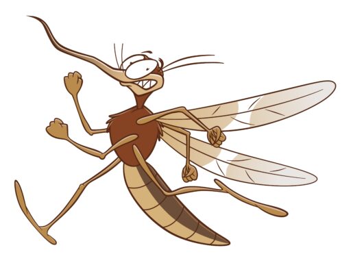 cartoon mosquito