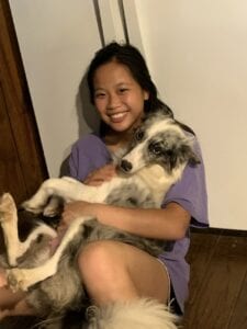 border collie with girl