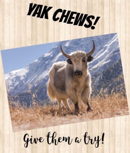 yak chews