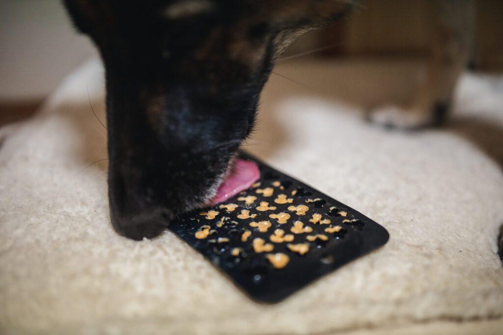 dog licking mat