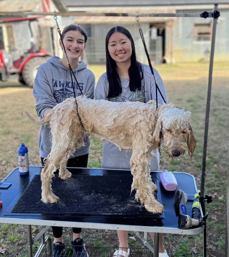 girls bathing dog