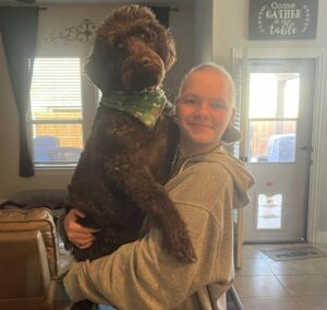 Labradoodle