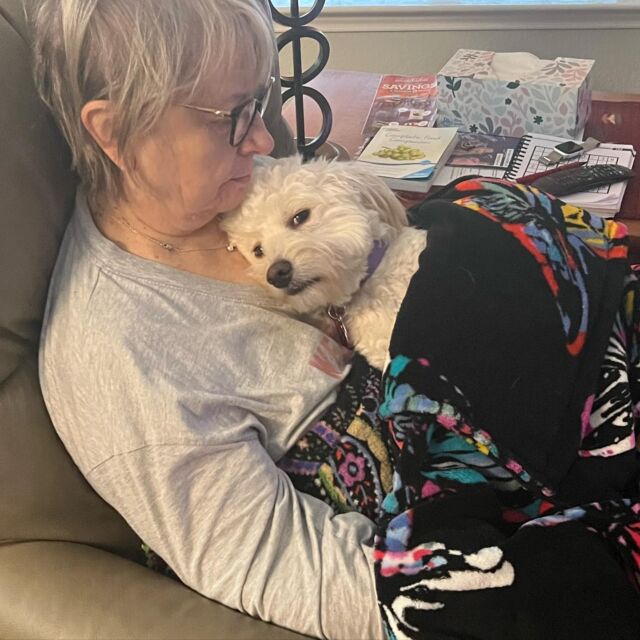 Precious Ginger enjoying a moment of love with momma. But trust me, she also has a playful and mischievous side! 😂 Ginger is a blonde Bordoodle from Dicey x Rusty. 
.
.
.
#bordoodle #bordoodlesofinstagram #lostcreekdicey #lostcreekbordoodles #bordoodles #lapdogs #snuggletime