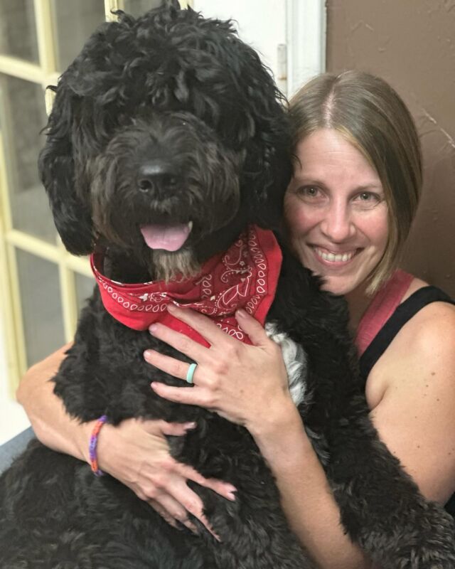 Cash! He’s a Dorothy x John Henry #englishcreamgoldendoodle . His family loves him and it looks like he loves them right back! ❤️ #lostcreekdorothy #lostcreekgoldendoodles #goldendoodle