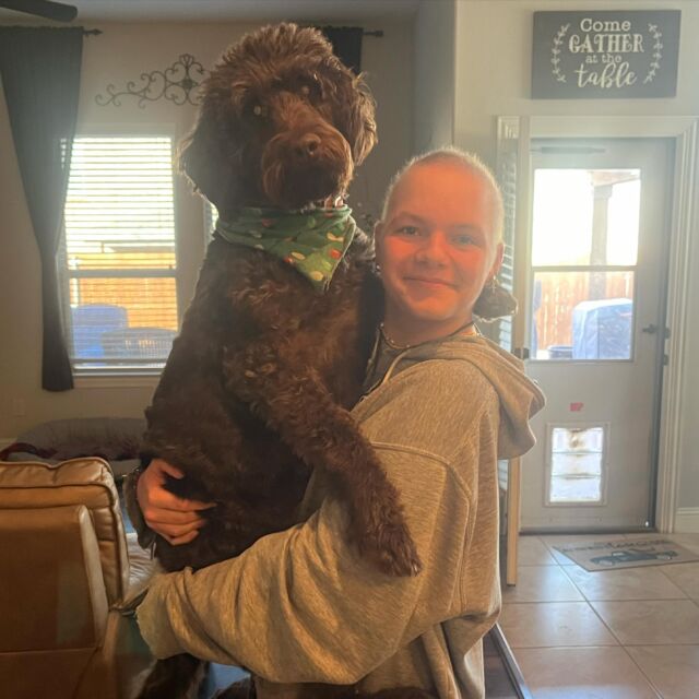 Maverick, the F1b English Labradoodle. This guy won the lottery with his family! He lives like a king! 🥰 #lostcreektequila #lostcreeklabradoodles