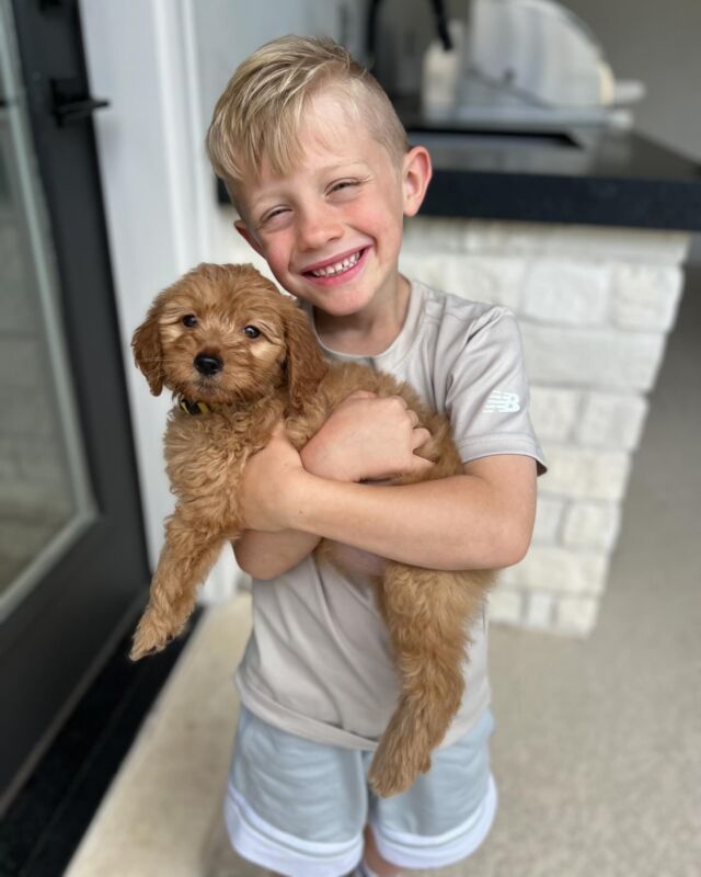The boys and their puppy! This is a Bonnie x Cooper F1 Golden doodle and she lucked out with this family! Unending attention! #goldendoodlepuppy #aboyandhisdog #boysandtheirpuppies #lostcreekgoldendoodles #goldendoodle #f1goldendoodle #lostcreekbonnie