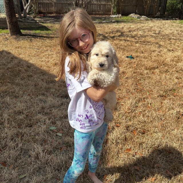 This is Bear! He’s living a great life with his family down in #hillcountry ! Bear is a Dorothy X George Grimes F1 English Cream Goldendoodle. #lostcreekdorothy #englishcreamgoldendoodle #lostcreekgoldendoodles #goldendoodle #atxdogs #austindoodles #atxdoodles
