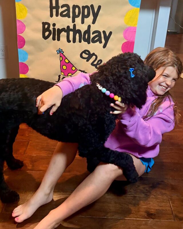 Aubrey update! What a sweet Goldendoodle and wonderful family! And are black Doodles not the most underrated Doodles?? They’re hard to photograph as puppies but they are STUNNING as adult dogs. #lostcreekgoldendoodles #austindoodles #doodlelife #lifeisbetterwithadoodle #familydog