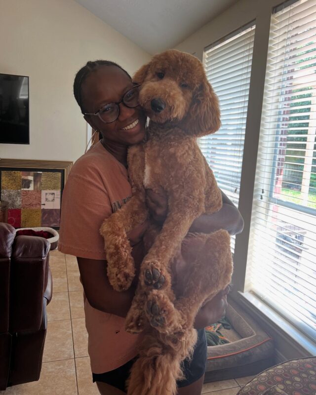 Keeton and his momma Zoë! They’ve been in Austin, but are moving to Utah this weekend. Wishing them the best of luck! Y’all send us some great pictures from Utah! #movingtoutah #doodleadventures #lostcreekgoldendoodles #lostcreeklottie #austintoutah #bestofluck