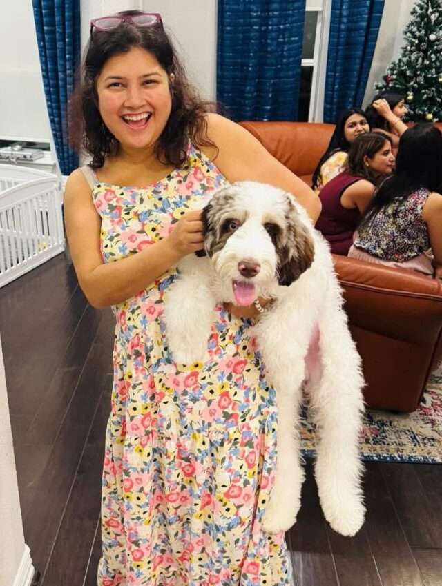 Dash! He’s a Maggie x Uncle Jack #australianmountaindoodle . He lives down in Austin with his wonderful family! And guess what, we have AMDs on the way. Message us! #lostcreekamds #amds #austindogs #austindoodles #miniaustralianmountaindoodle #doodlelife #lifeisbetterwithadoodle