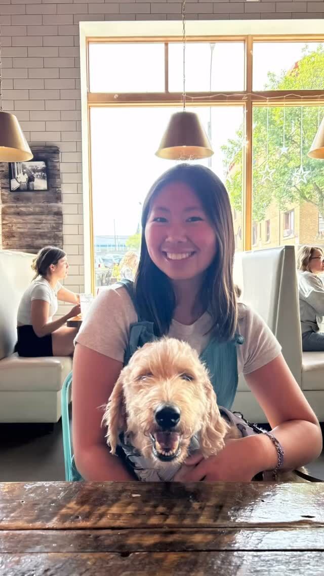 Phoebe and Lottie! We miss you two! #usf #siouxfalls #universityofsiouxfalls #gocoo #lostcreekgoldendoodles #lifeisbetterwithadoodle