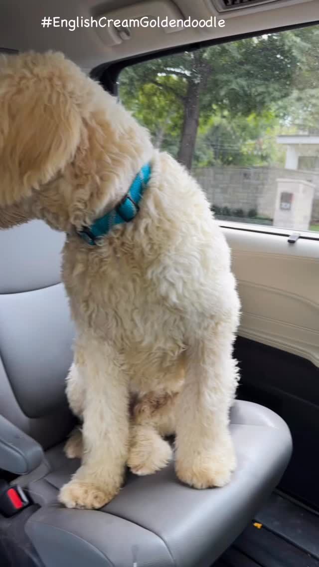 Instagram post 18109532533493440